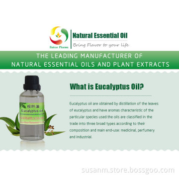 Natural Essential Oil Eucalyptus Fragrance Oil
